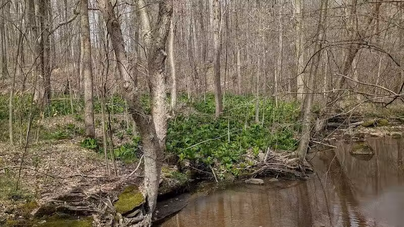 Headwaters Park - Huntsburg, OH
