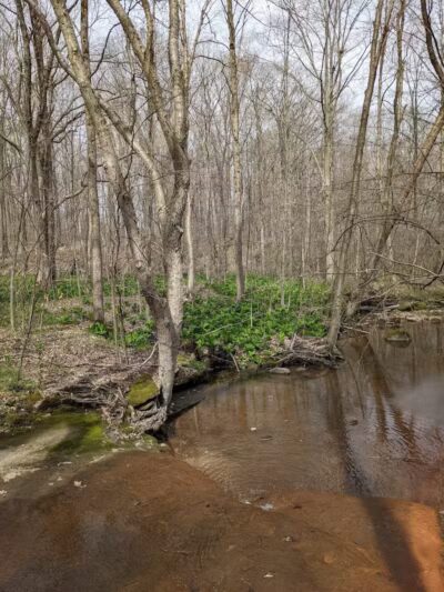 Headwaters Park - Huntsburg, OH