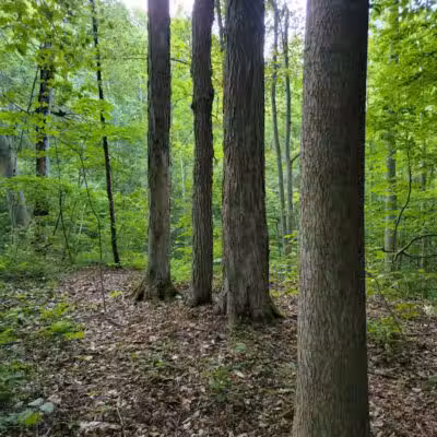 Headwaters Park - Huntsburg, OH
