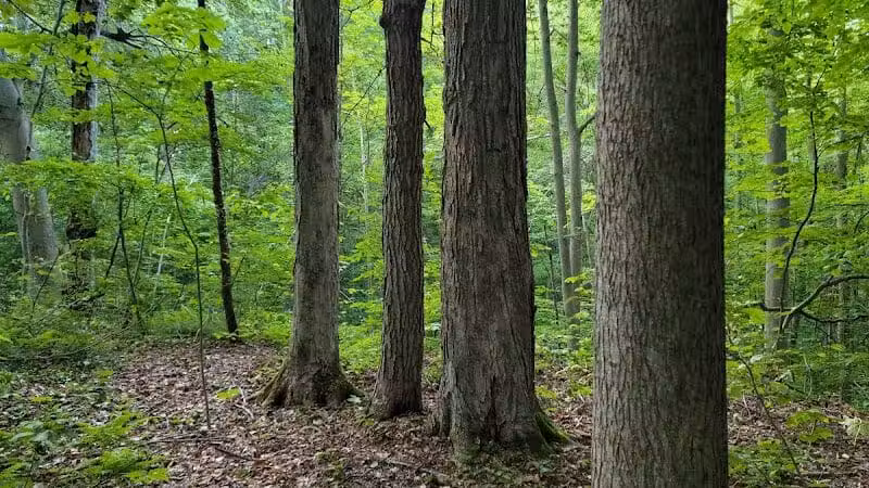 Headwaters Park - Huntsburg, OH