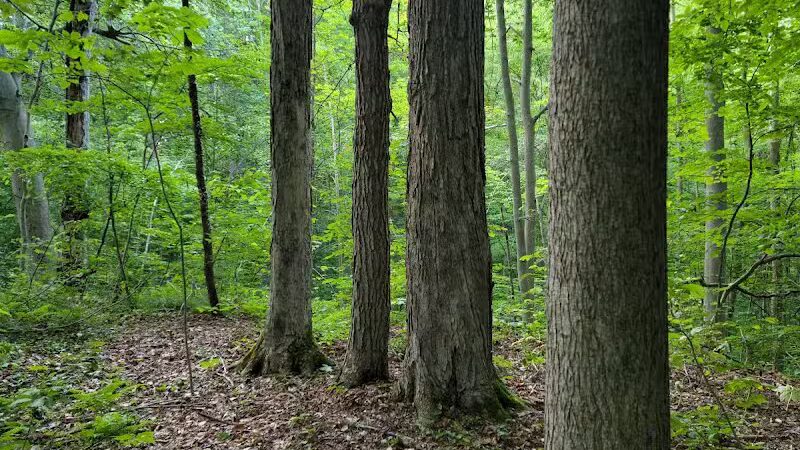 Headwaters Park - Huntsburg, OH