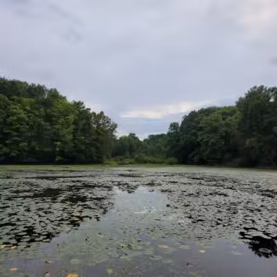 Headwaters Park - Huntsburg, OH