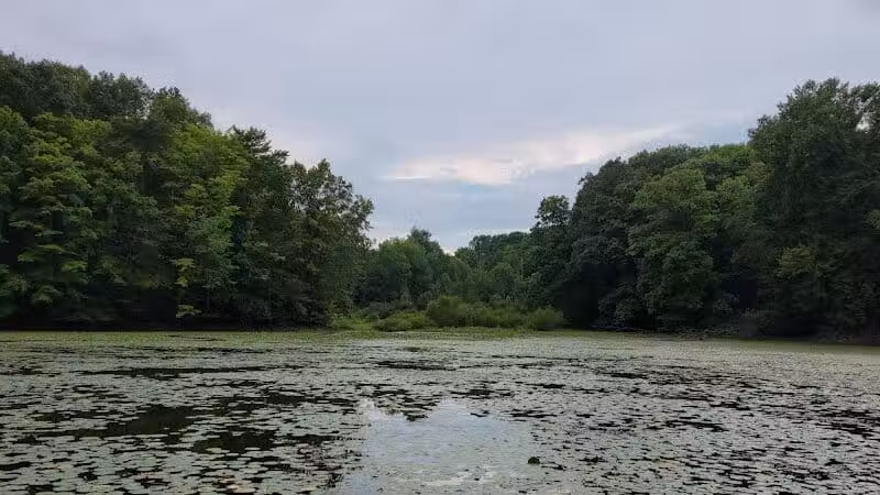 Headwaters Park - Huntsburg, OH