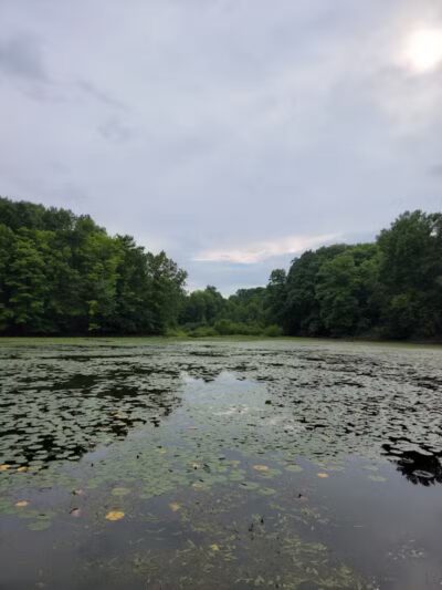 Headwaters Park - Huntsburg, OH