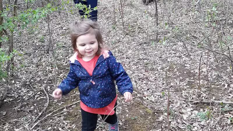 Lions Park - Huntsville, OH