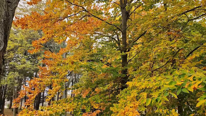 Lions Park - Huntsville, OH