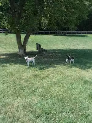 Erie Metro Bark Park - Huron, OH - Huron, OH