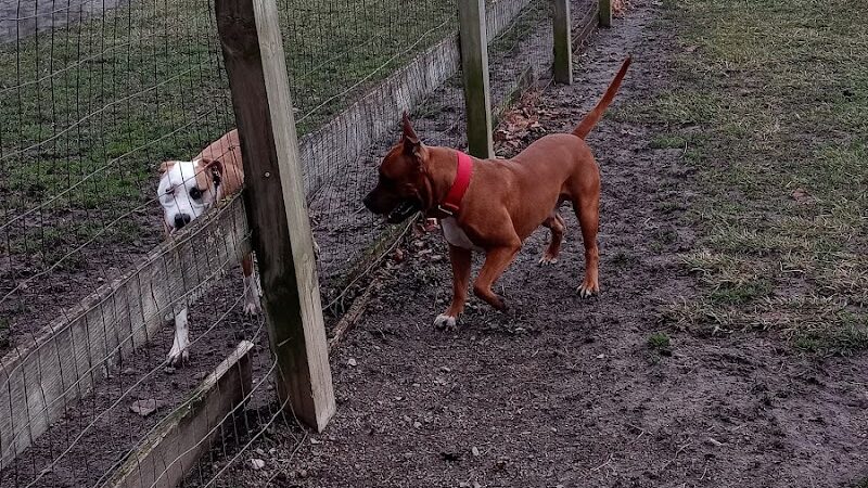 Erie Metro Bark Park - Huron, OH - Huron, OH
