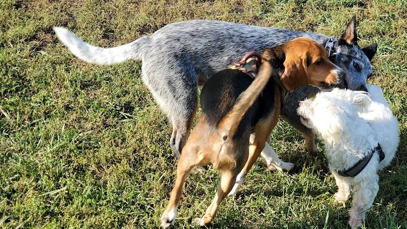 Erie Metro Bark Park - Huron, OH - Huron, OH