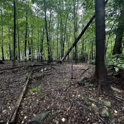 Hemlock Creek Trail - West Creek Conservancy - Independence, OH