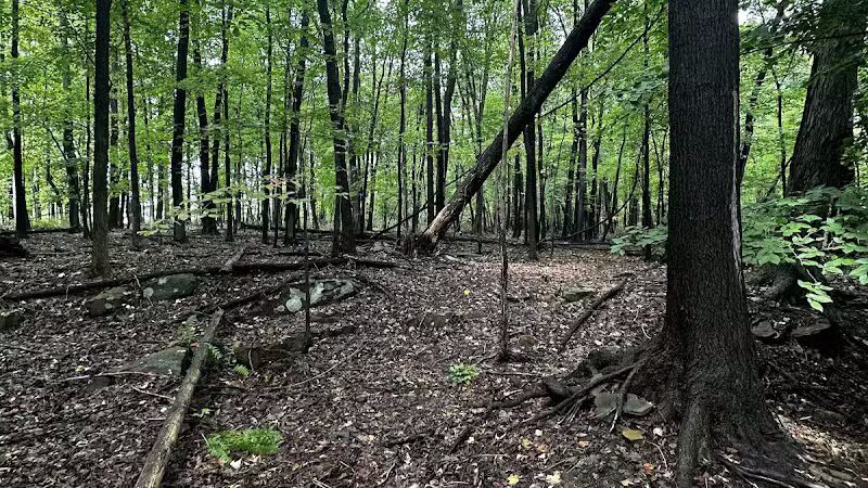 Hemlock Creek Trail - West Creek Conservancy - Independence, OH