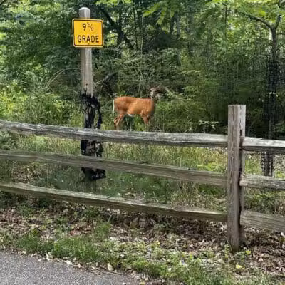 Hemlock Creek Trail - West Creek Conservancy - Independence, OH