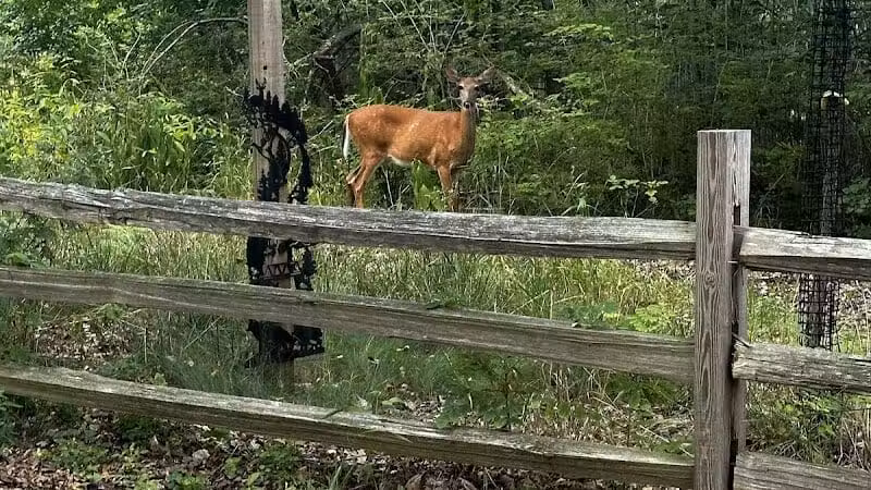 Hemlock Creek Trail - West Creek Conservancy - Independence, OH