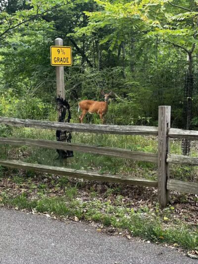 Hemlock Creek Trail - West Creek Conservancy - Independence, OH