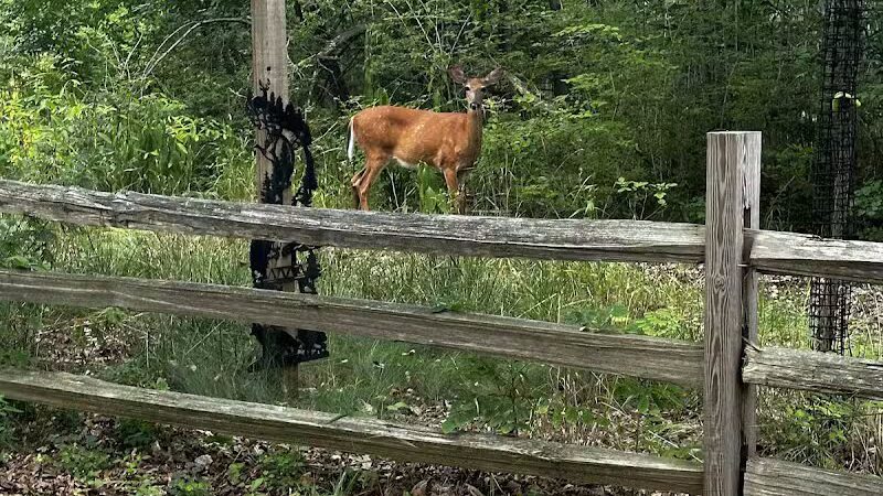 Hemlock Creek Trail - West Creek Conservancy - Independence, OH