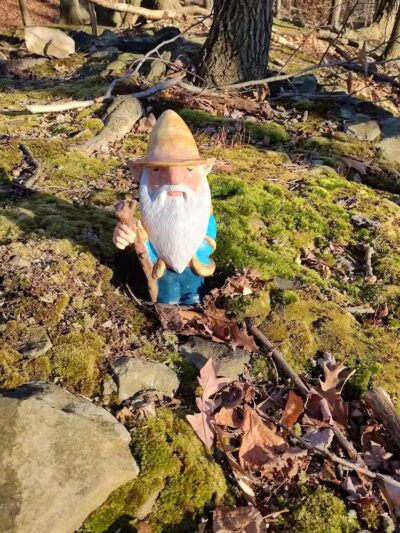 Hemlock Creek Trail - West Creek Conservancy - Independence, OH