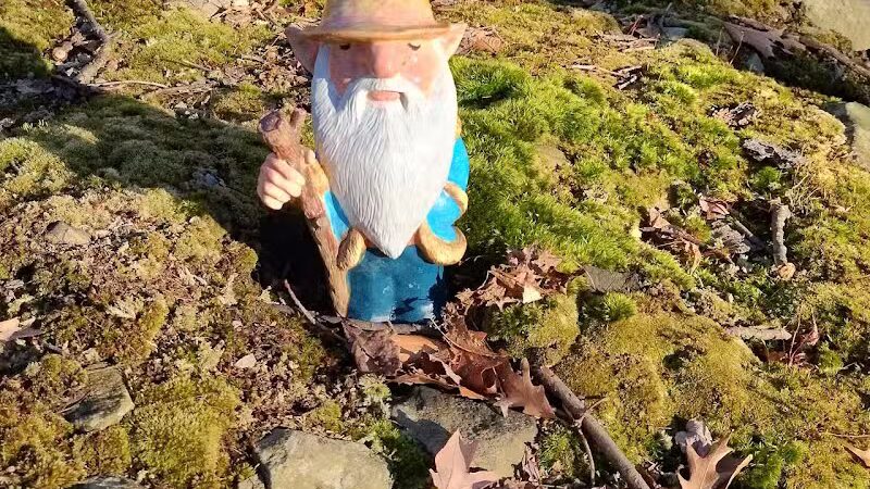 Hemlock Creek Trail - West Creek Conservancy - Independence, OH