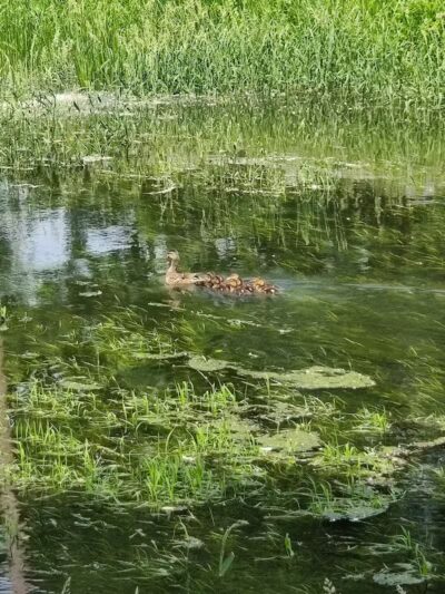 Ohio to Erie Trail, Lock 39 Trailhead - Independence, OH