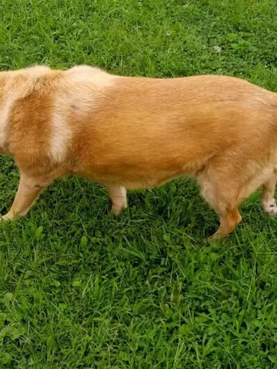 Beechwood Park - Ironton, OH