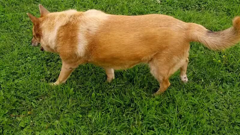 Beechwood Park - Ironton, OH