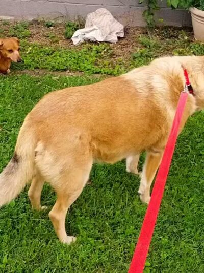 Beechwood Park - Ironton, OH