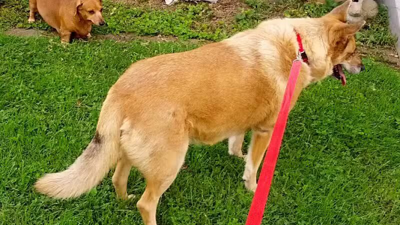 Beechwood Park - Ironton, OH