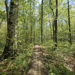 Botkins Park - Jackson Center, OH