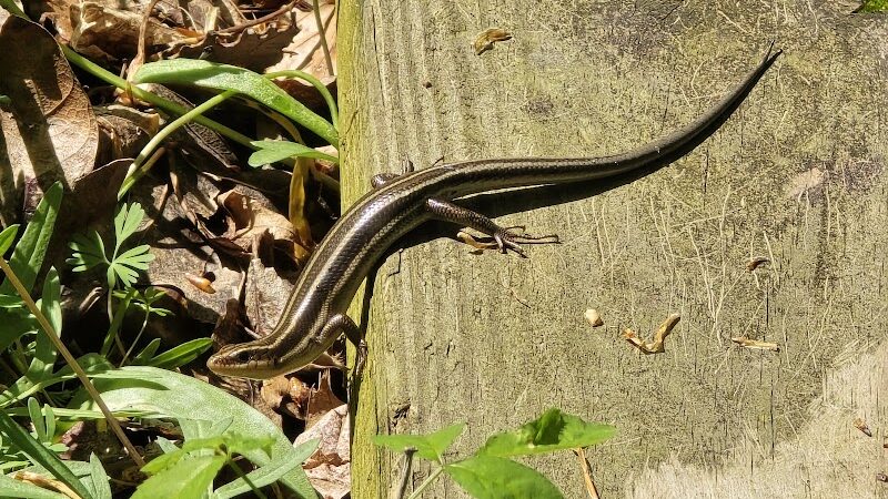 Botkins Park - Jackson Center, OH