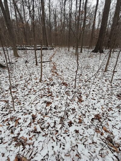 Botkins Park - Jackson Center, OH