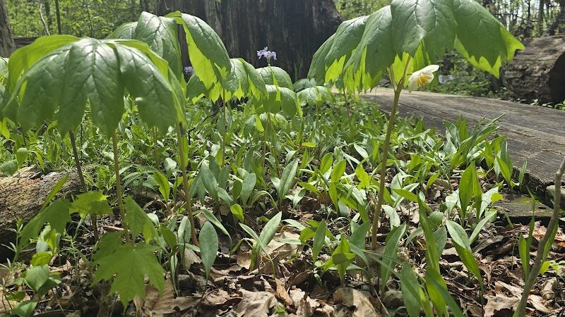 Botkins Park - Jackson Center, OH