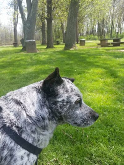 Edwin A. Jones Park - Jackson, OH