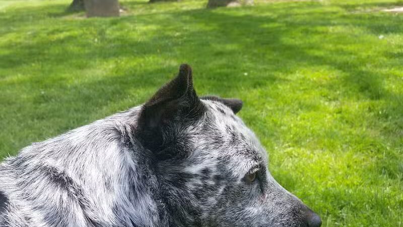 Edwin A. Jones Park - Jackson, OH