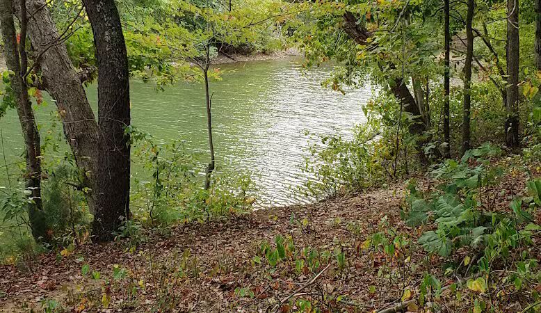 Hammertown lake - Jackson, OH