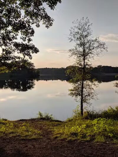 Jackson County Dog Warden - Jackson, OH