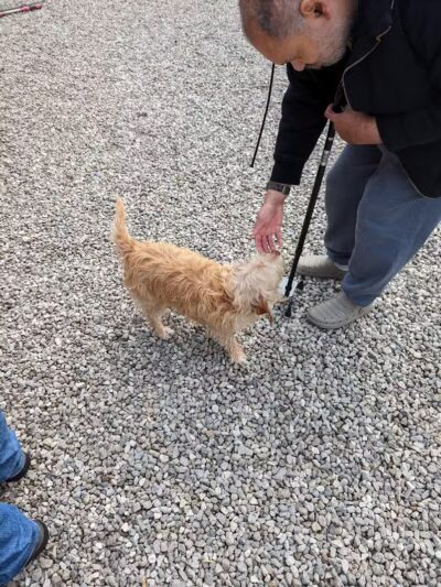 Jackson County Dog Warden - Jackson, OH