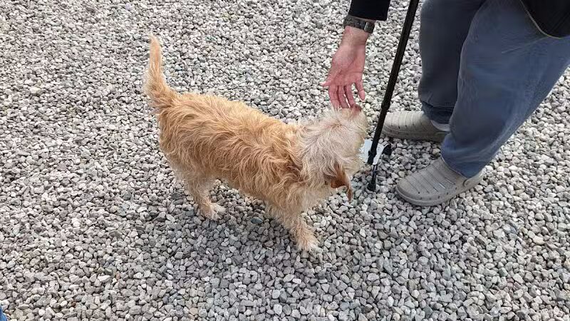 Jackson County Dog Warden - Jackson, OH