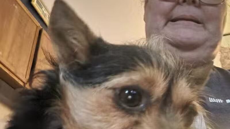 Jackson County Dog Warden - Jackson, OH