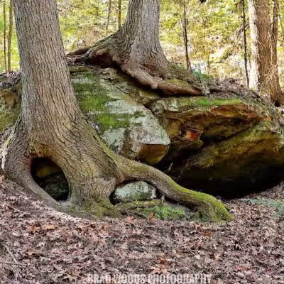 Lake Katharine State Nature Preserve - Jackson, OH