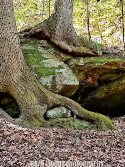 Lake Katharine State Nature Preserve - Jackson, OH