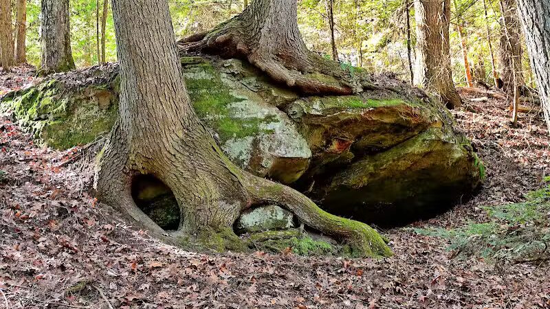 Lake Katharine State Nature Preserve - Jackson, OH