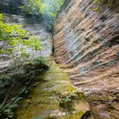 Lake Katharine State Nature Preserve - Jackson, OH