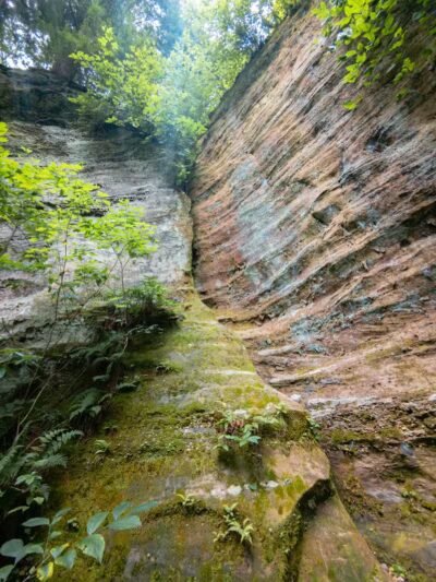 Lake Katharine State Nature Preserve - Jackson, OH