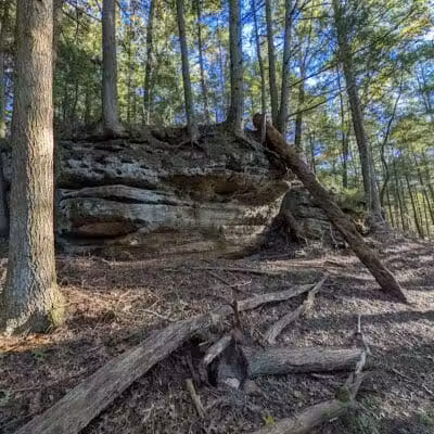 Lake Katharine State Nature Preserve - Jackson, OH