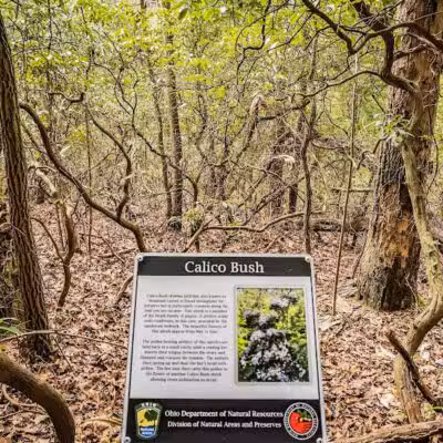 Lake Katharine State Nature Preserve - Jackson, OH