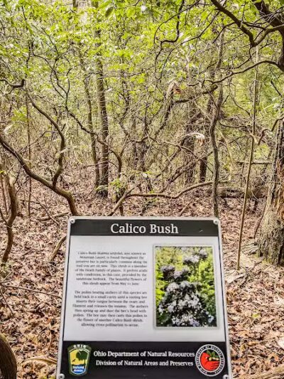 Lake Katharine State Nature Preserve - Jackson, OH