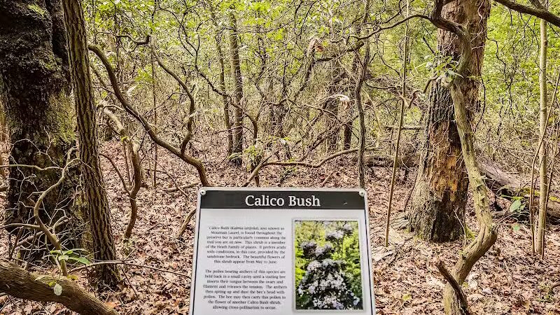 Lake Katharine State Nature Preserve - Jackson, OH