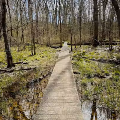Lake Katharine State Nature Preserve - Jackson, OH