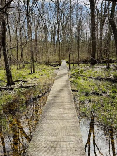Lake Katharine State Nature Preserve - Jackson, OH