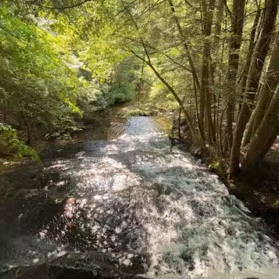Waterfalls - Jackson, OH