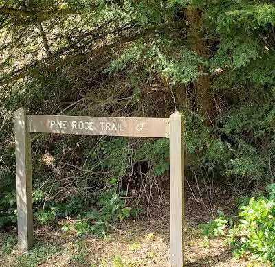 Waterfalls - Jackson, OH